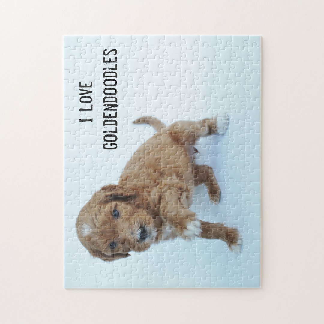 Goldendoodle Puppy Jigsaw Puzzle Zazzle