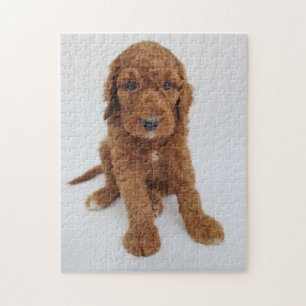 Goldendoodle puppy jigsaw puzzle