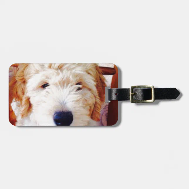 I'm a Goldendoodle Dad and a Veteran, Nothing Scares me Happy Father's