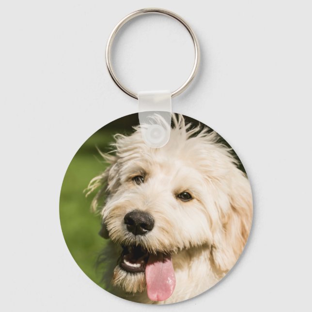 Goldendoodle Puppy Panting Keychain (Front)