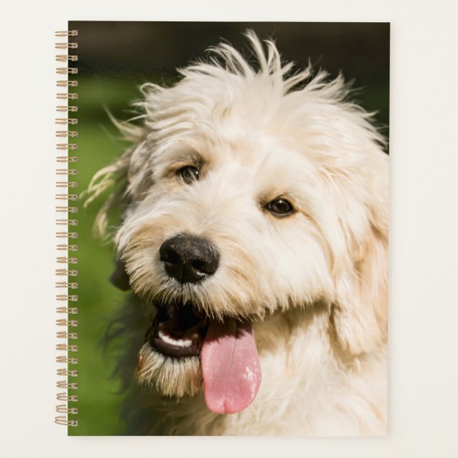 Goldendoodle Puppy Panting Planner (Front)