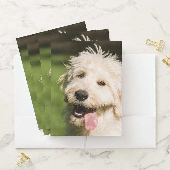 Goldendoodle Puppy Panting Pocket Folder (In Situ)
