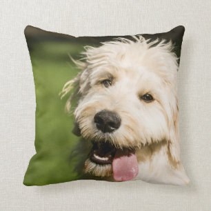 Goldendoodle Puppy Panting Throw Pillow