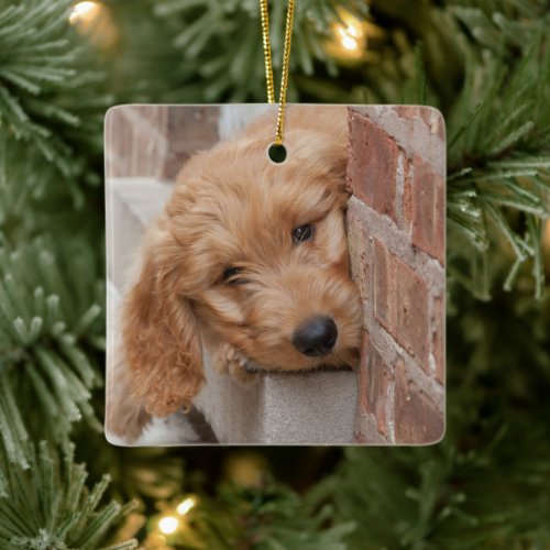 Goldendoodle Puppy Peeking Ceramic Ornament