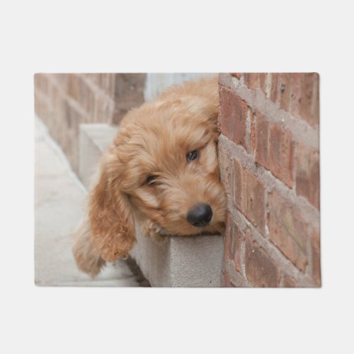 Goldendoodle Puppy Peeking Doormat