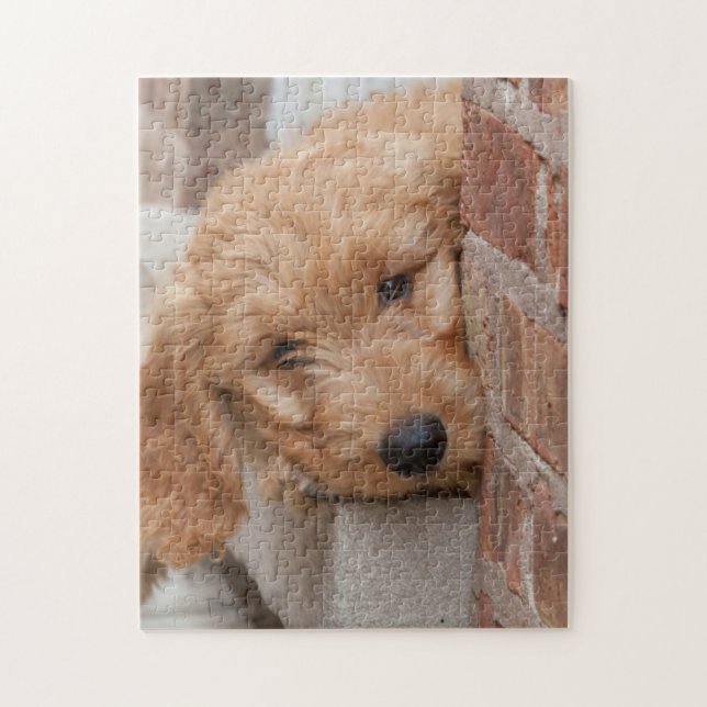 Goldendoodle Puppy Peeking Jigsaw Puzzle (Vertical)