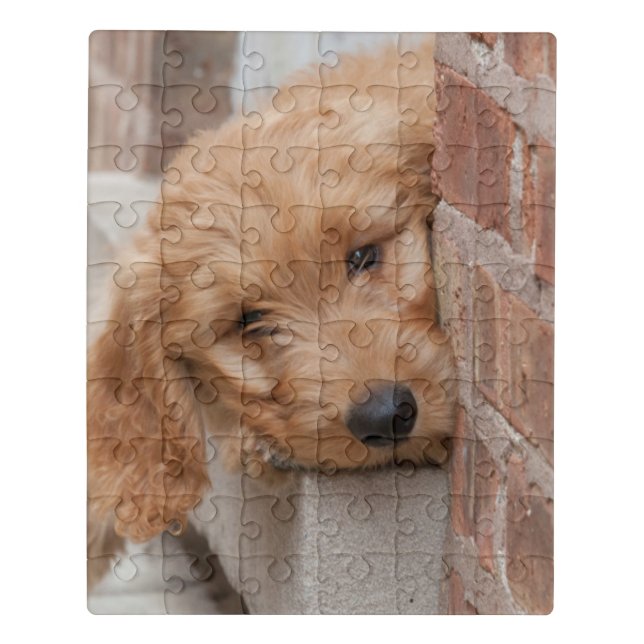 Goldendoodle Puppy Peeking Jigsaw Puzzle (Puzzle Vertical)