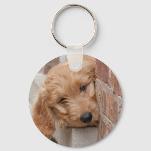 Goldendoodle Puppy Peeking Keychain