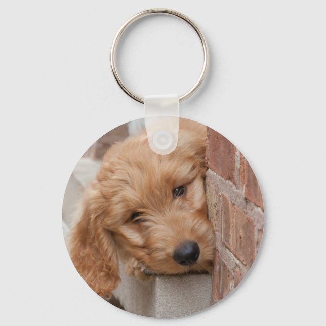 Goldendoodle Puppy Peeking Keychain (Front)