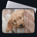 Goldendoodle Puppy Peeking Laptop Sleeve<br><div class="desc">An adorable eleven week old Goldendoodle with bright eyes curiously peeks out from a doorway in a brick wall</div>