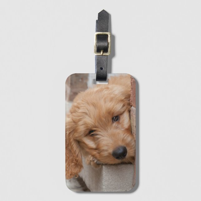 Goldendoodle Puppy Peeking Luggage Tag (Front Vertical)