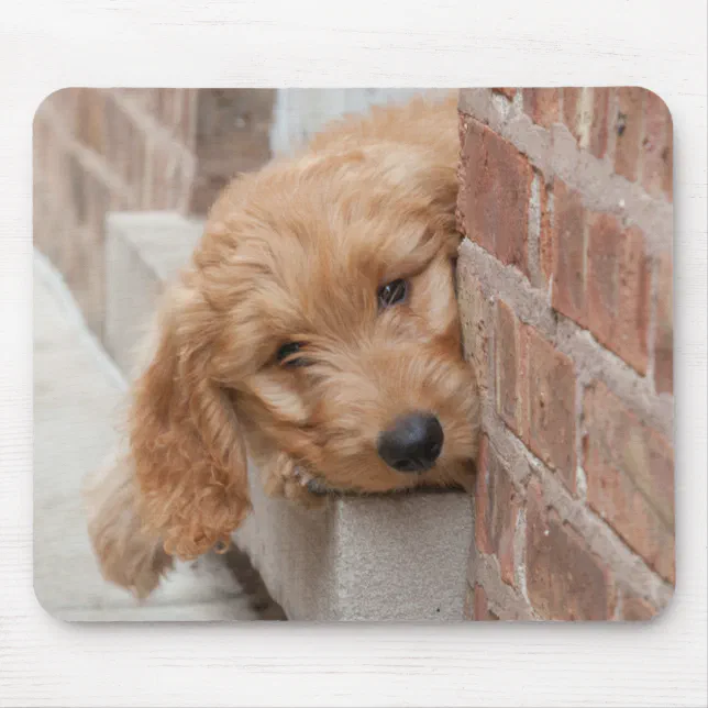 Caroline's Treasures Goldendoodle Valentine's Love Glass Cutting Board