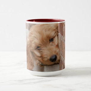 Goldendoodle Puppy Peeking Mug