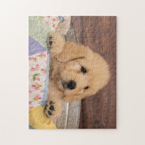 Goldendoodle puppy puzzle