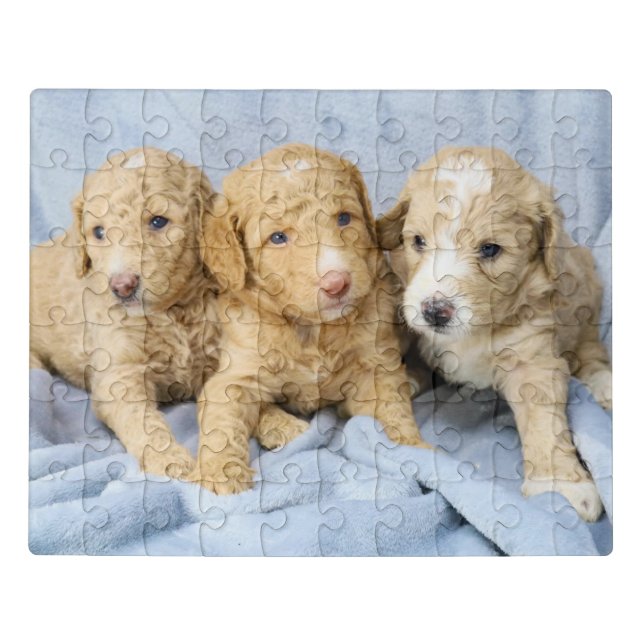 Goldendoodle puppy puzzle (Puzzle Horizontal)