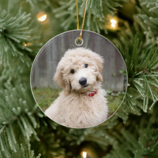 Goldendoodle Puppy Sits In Grass Ceramic Ornament (Tree)