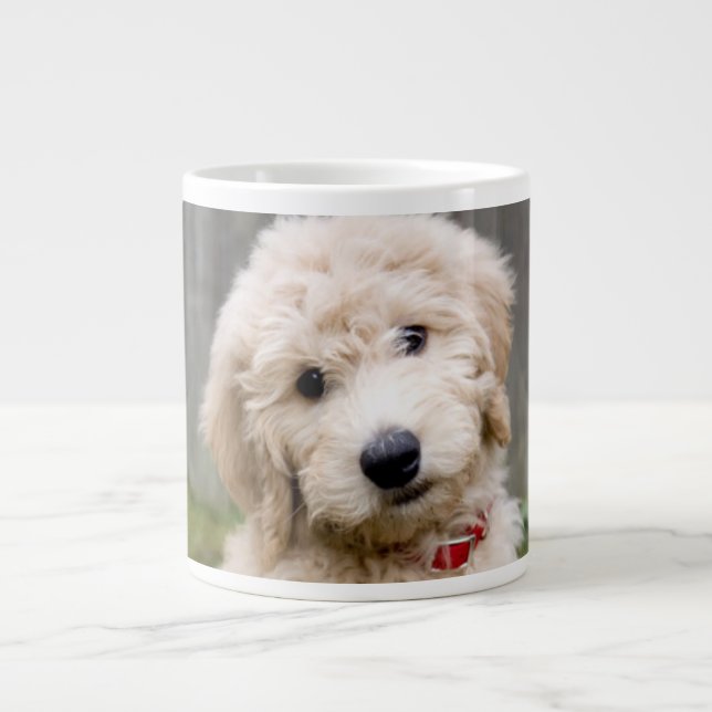 Goldendoodle Puppy Sits In Grass Giant Coffee Mug (Front)