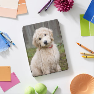 Goldendoodle Puppy Sits In Grass iPad Pro Cover