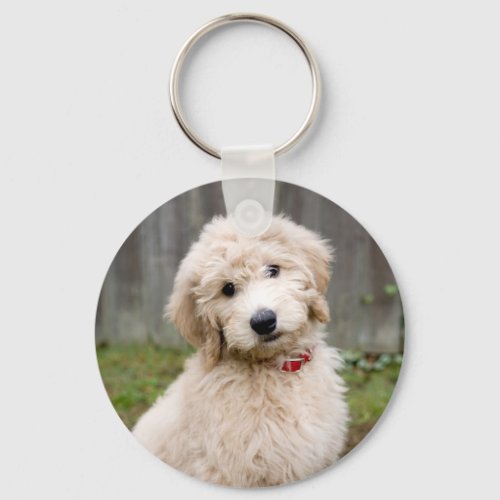 Goldendoodle Puppy Sits In Grass Keychain