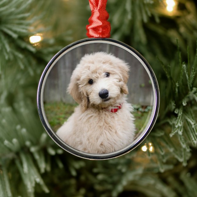 Goldendoodle Puppy Sits In Grass Metal Ornament (Tree)