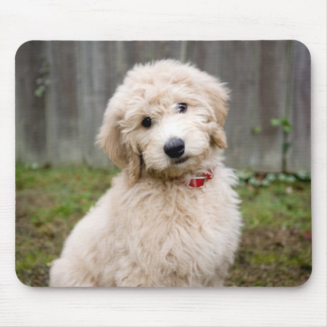Goldendoodle Puppy Sits In Grass Mouse Pad (Front)