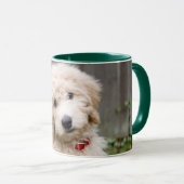 Goldendoodle Puppy Sits In Grass Mug (Front Right)
