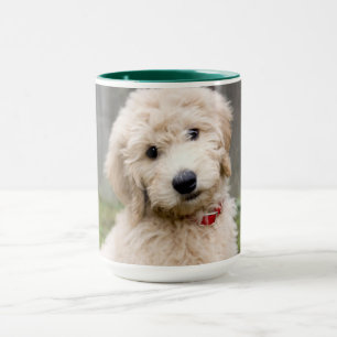 Goldendoodle Puppy Sits In Grass Mug