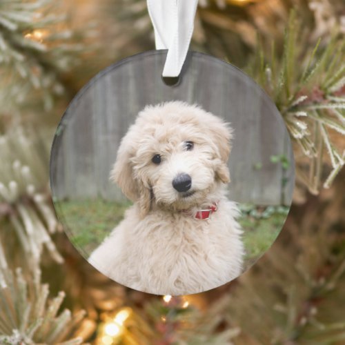 Goldendoodle Puppy Sits In Grass Ornament