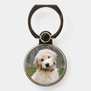 Goldendoodle Puppy Sits In Grass Phone Ring Stand