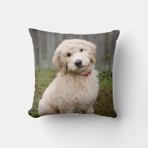 Goldendoodle Puppy Sits In Grass Throw Pillow