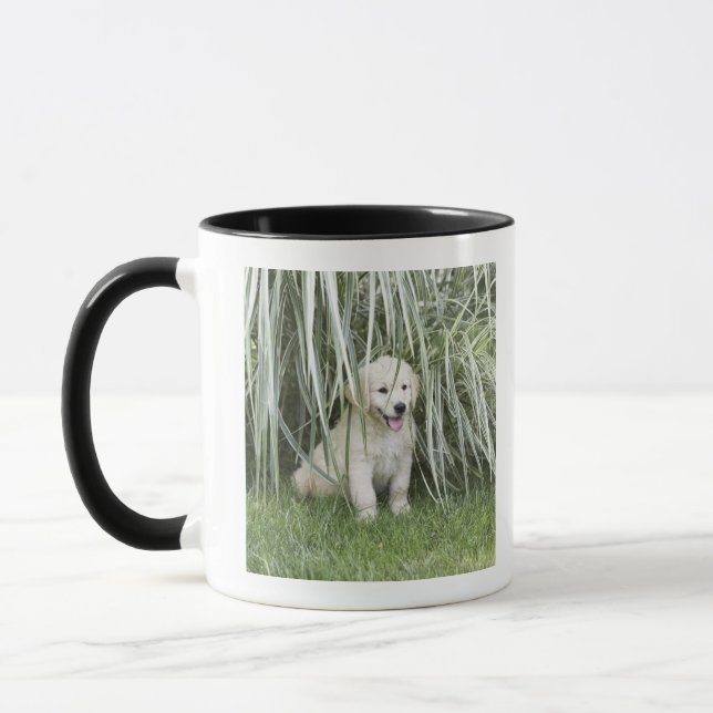 Goldendoodle puppy sitting under tall grasses mug (Left)