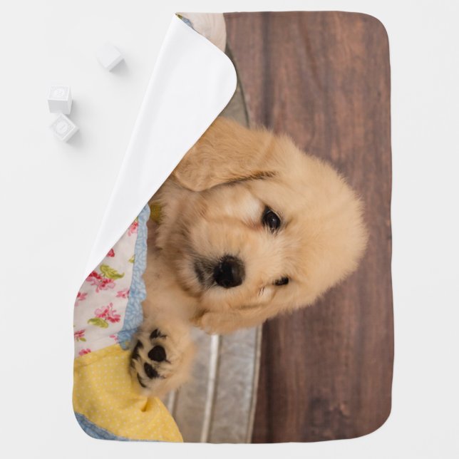 Goldendoodle puppy snuggle blanket (In Situ)