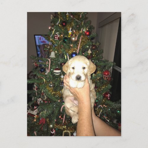 GoldenDoodle Puppy With Christmas Tree Holiday Postcard