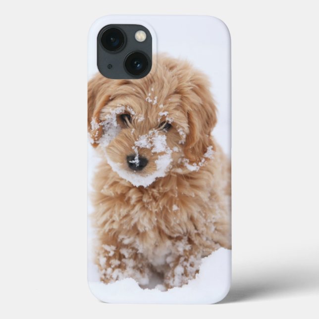 Goldendoodle Puppy With Snow On Face Case-Mate iPhone Case (Back)