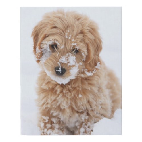 Goldendoodle Puppy With Snow On Face Faux Canvas Print