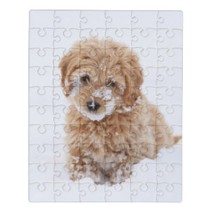 Goldendoodle Puppy With Snow On Face Jigsaw Puzzle