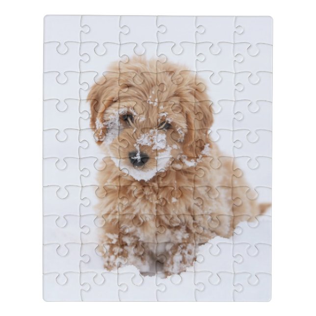 Goldendoodle Puppy With Snow On Face Jigsaw Puzzle (Puzzle Vertical)