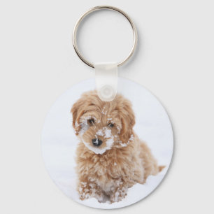 Goldendoodle Puppy With Snow On Face Keychain