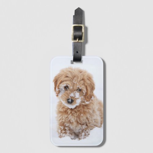 Goldendoodle Puppy With Snow On Face Luggage Tag