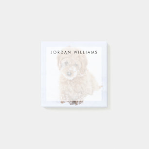 Goldendoodle Puppy With Snow On Face Post-it Notes