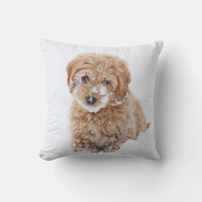 Goldendoodle Puppy With Snow On Face Throw Pillow (Front)