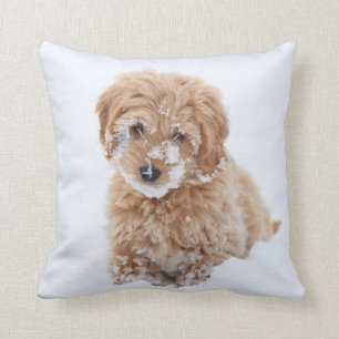 Goldendoodle Puppy With Snow On Face Throw Pillow