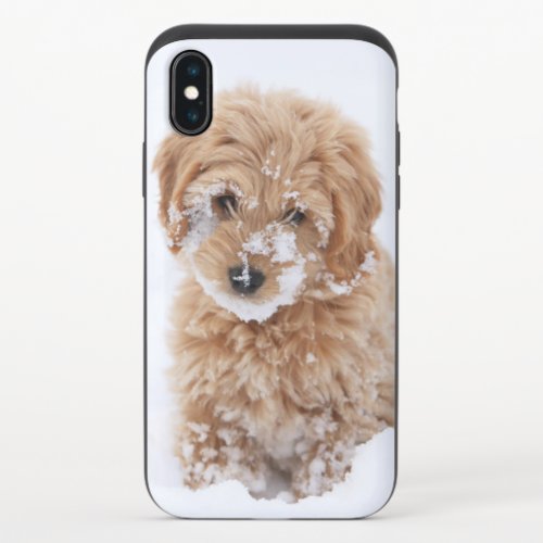Goldendoodle Puppy With Snow On Face iPhone X Slider Case