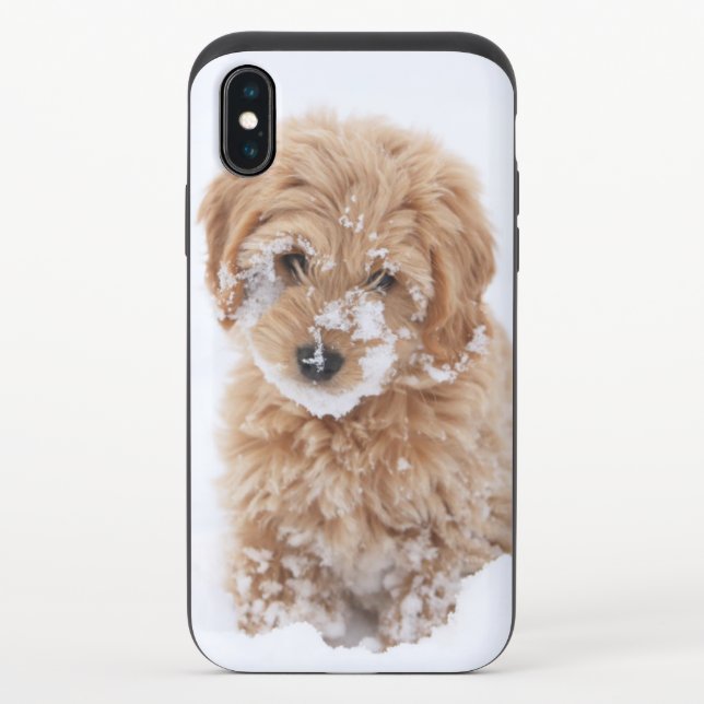 Goldendoodle Puppy With Snow On Face Uncommon iPhone Case (Back)