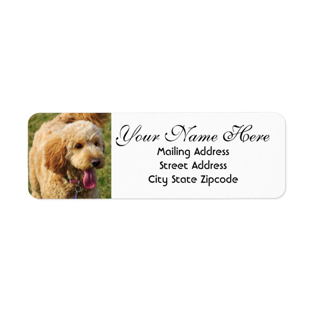 Goldendoodle Return Address Label (Front)