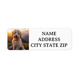GOLDENDOODLE RETURN LABELS