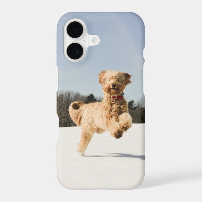 Goldendoodle Running Through Field Iphone Case (Back)