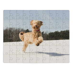 Goldendoodle Running Through Field Jigsaw Puzzle
