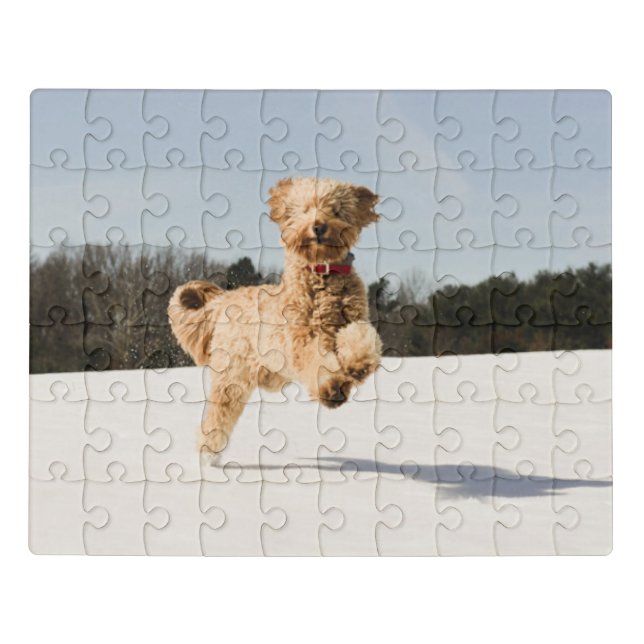 Goldendoodle Running Through Field Jigsaw Puzzle (Puzzle Horizontal)