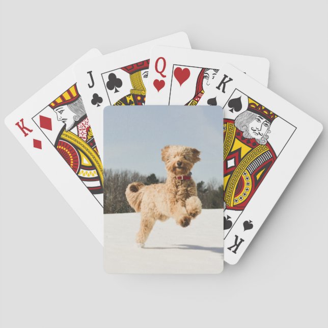 Goldendoodle Running Through Field Poker Cards (Back)
